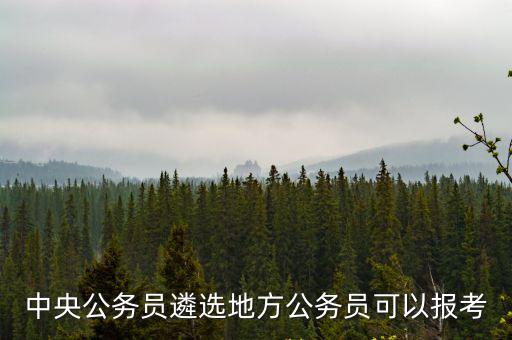 中央公務員遴選地方公務員可以報考