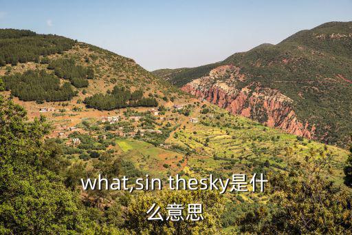 what,sin thesky是什么意思