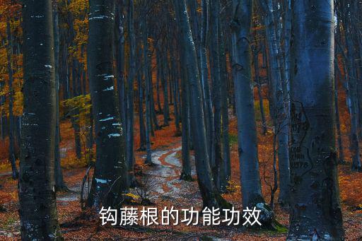 鉤藤的作用與功效,鉤藤可治療風(fēng)熱頭痛和止癲癇發(fā)作