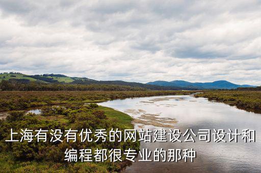 上海有沒有優(yōu)秀的網(wǎng)站建設(shè)公司設(shè)計和編程都很專業(yè)的那種