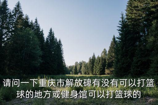 請問一下重慶市解放碑有沒有可以打籃球的地方或健身館可以打籃球的