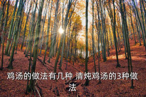 雞湯的做法有幾種 清燉雞湯的3種做法