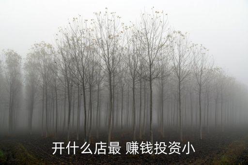 開什么店最 賺錢投資小