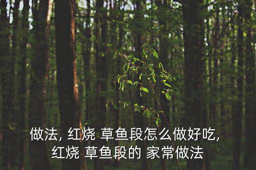 做法, 紅燒 草魚段怎么做好吃, 紅燒 草魚段的 家常做法
