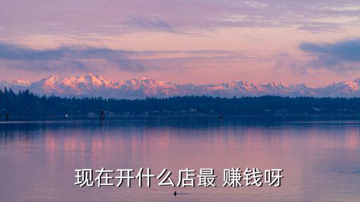 加盟什么店最賺錢