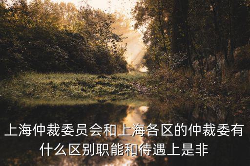 上海仲裁委員會(huì)和上海各區(qū)的仲裁委有什么區(qū)別職能和待遇上是非