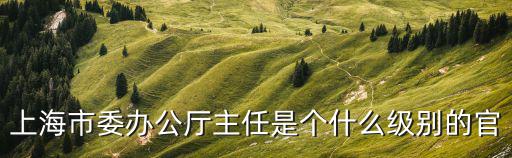 上海市委辦公廳主任是個(gè)什么級(jí)別的官