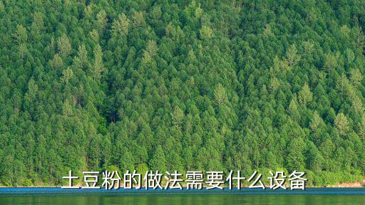 自制土豆粉,土豆粉條怎么做好吃?