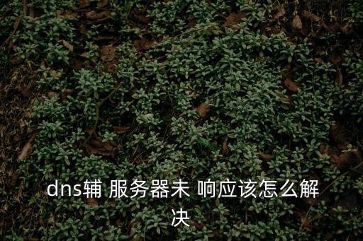  dns輔 服務器未 響應該怎么解決