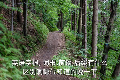 英語字根, 詞根,前綴,后綴有什么區別啊哪位知道的說一下