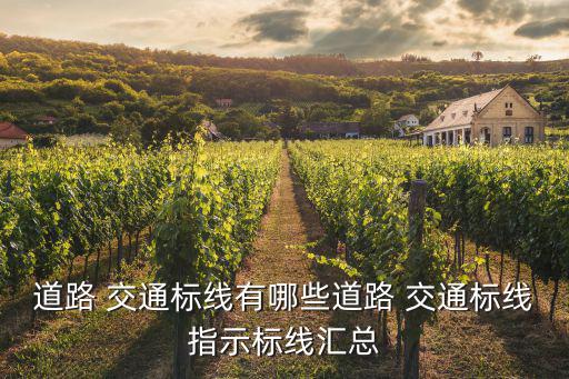 交通標示,交通標示識別系統介紹之路標志線功能分三類