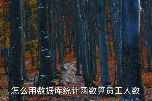 怎么用數據庫統計函數算員工人數