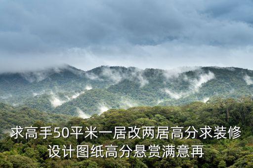 求高手50平米一居改兩居高分求裝修設計圖紙高分懸賞滿意再