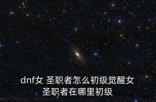 dnf女圣職者,巫女圣職有哪些職業可以轉行?