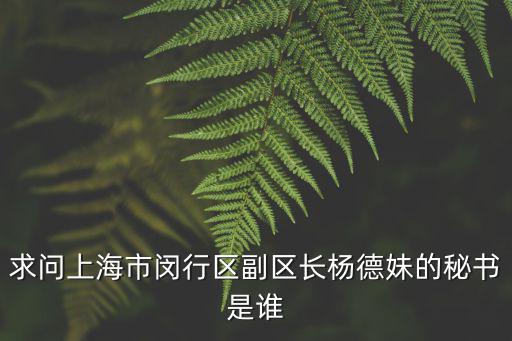 上海閔行區副區長，閔行區區長叫什么名字