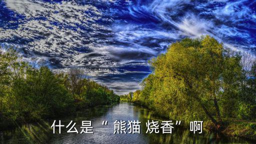 熊貓燒香圖片,電腦出現熊貓燒香病毒如何修改和更正?