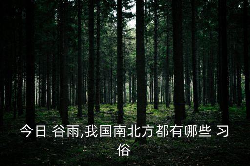 今日 谷雨,我國南北方都有哪些 習俗