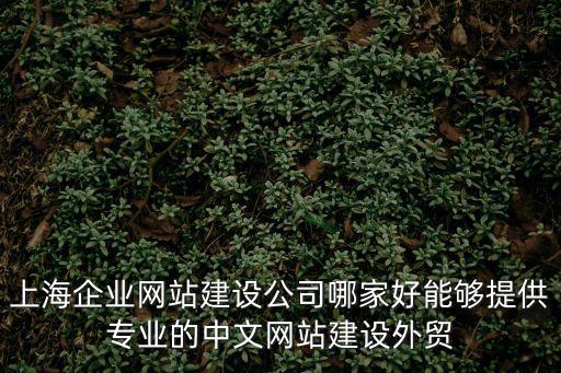 上海企業網站建設公司哪家好能夠提供專業的中文網站建設外貿