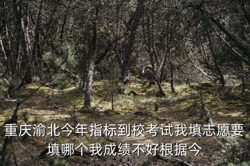 重慶渝北今年指標到校考試我填志愿要填哪個我成績不好根據今