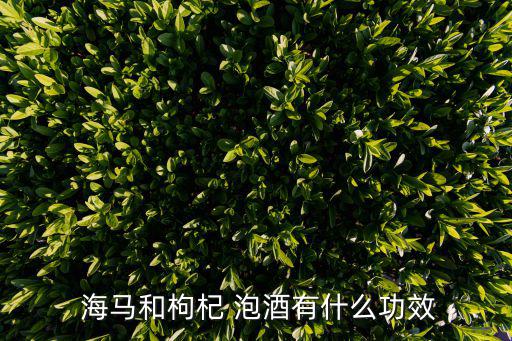 海馬和枸杞 泡酒有什么功效
