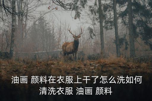  油畫 顏料在衣服上干了怎么洗如何清洗衣服 油畫 顏料