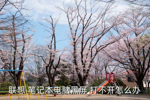筆記本電腦打不開怎么辦