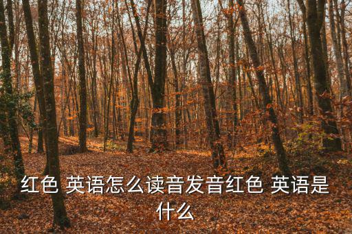 紅的英語,紅色是什么?看這里!