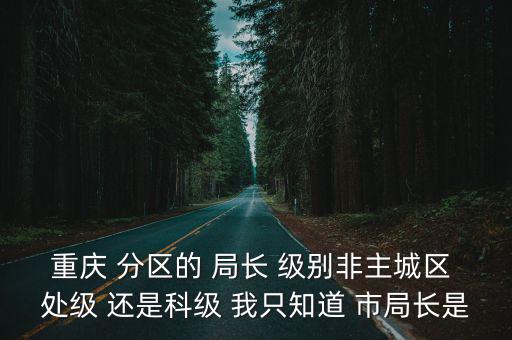 重慶 分區的 局長 級別非主城區 處級 還是科級 我只知道 市局長是