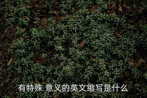 有特殊 意義的英文縮寫是什么
