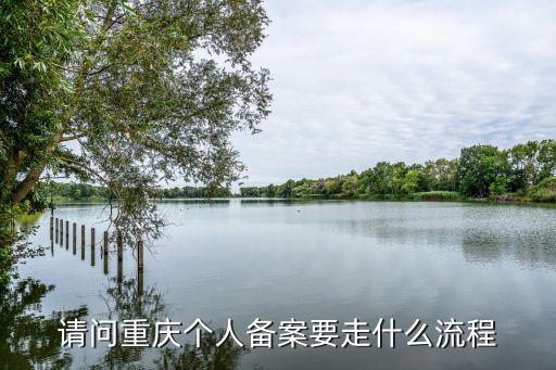 請問重慶個人備案要走什么流程