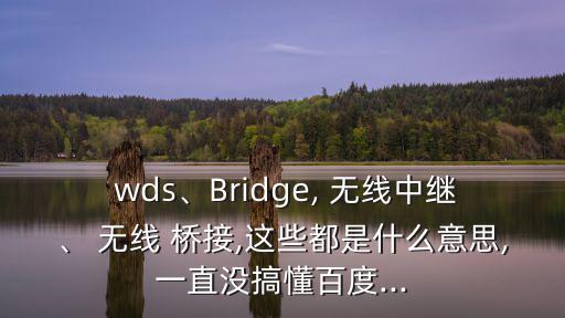  wds、Bridge, 無線中繼、 無線 橋接,這些都是什么意思,一直沒搞懂百度...