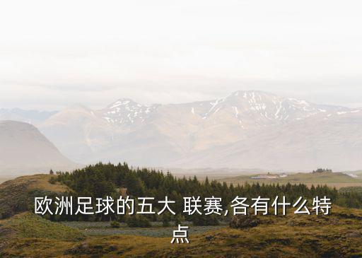 歐洲五大聯(lián)賽,足球聯(lián)賽成為世界上最受歡迎的體育賽事之一