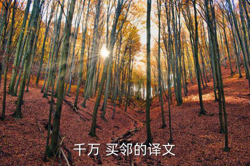 千萬(wàn) 買(mǎi)鄰的譯文