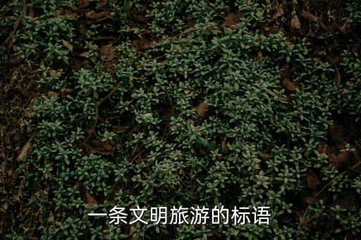 一條文明旅游的標(biāo)語(yǔ)