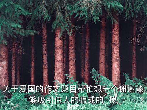 關于愛國的作文題目幫忙想一個謝謝能夠吸引住人的眼球的  搜