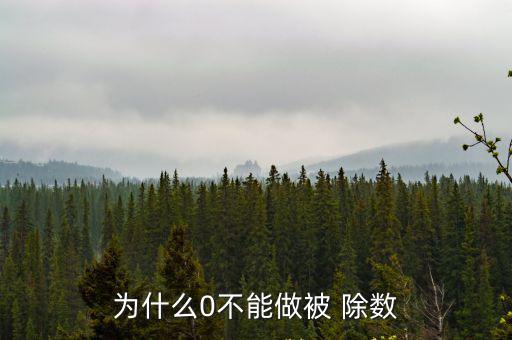 為什么0不能做被 除數(shù)