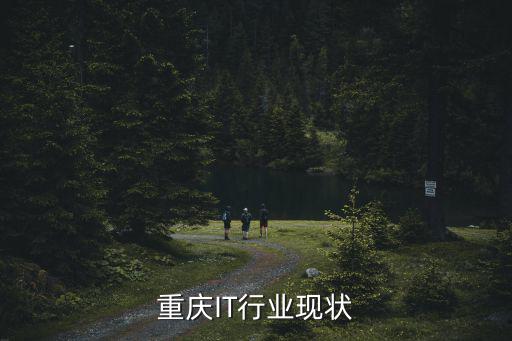 重慶市金融行業(yè)報(bào)告2020，金融危機(jī)對(duì)重慶有什么影響
