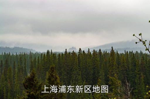 2022年上海浦東新樓盤地圖，那里有賣上海浦東新區或上海全市小區分布地圖的