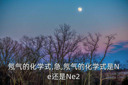 氖的元素符號,氖氣可作為戶外廣告霓虹燈填充氣體