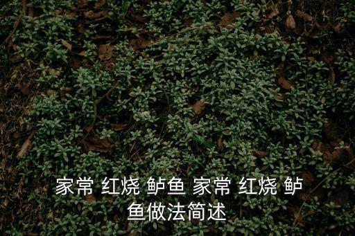 家常紅燒鱸魚,一鍋煮紅燒鱸魚魚湯注意事項