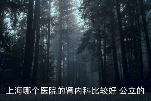 上海哪個醫院的腎內科比較好 公立的