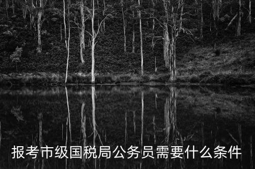 報考市級國稅局公務員需要什么條件