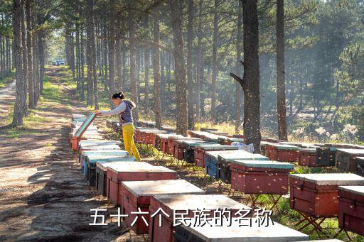 巴族,中華民族的祖先在祖國的土地上勞動、生活、繁衍