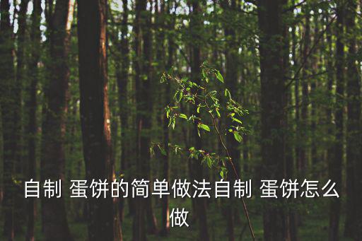 自制 蛋餅的簡單做法自制 蛋餅怎么做