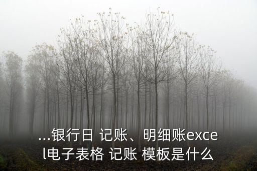 ...銀行日 記賬、明細賬excel電子表格 記賬 模板是什么