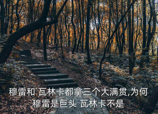 穆雷和 瓦林卡都拿三個大滿貫,為何穆雷是巨頭 瓦林卡不是