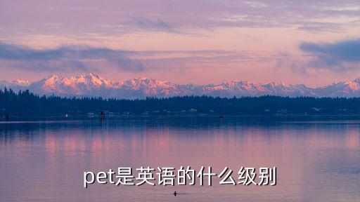 pet是英語的什么級別