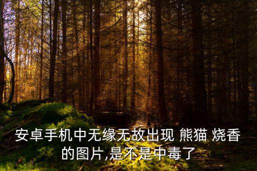 安卓手機中無緣無故出現(xiàn) 熊貓 燒香的圖片,是不是中毒了