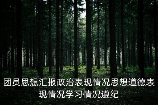 團(tuán)員思想?yún)R報(bào)政治表現(xiàn)情況思想道德表現(xiàn)情況學(xué)習(xí)情況遵紀(jì)