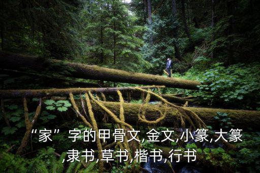 “家”字的甲骨文,金文,小篆,大篆,隸書,草書,楷書,行書